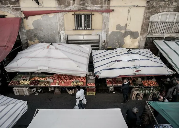 Lejlighed Casa Sabir